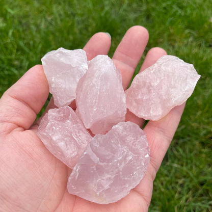 A close-up of a hand holding five raw Rose Quartz stones, with a grassy background in natural daylight