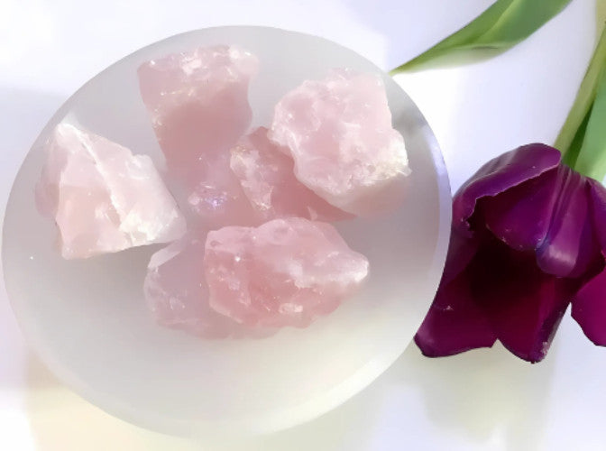 A collection of raw Rose Quartz crystals resting on a round selenite charging plate, accompanied by a deep purple tulip.